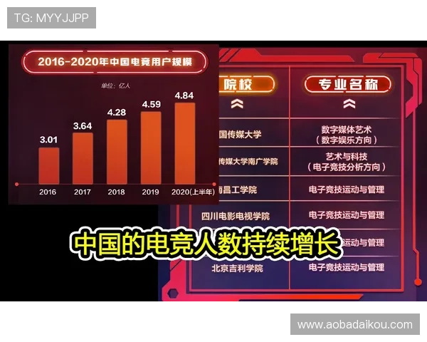 详尽解读ag电竞官方下载官网的各类活动与促销信息