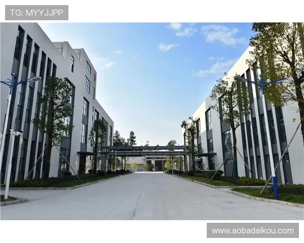 凯发真人集团有限公司全面解析其发展历程与行业地位，助你深入了解行业领军企业的核心竞争力
